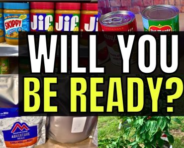 The 4 Levels of Prepper Food Storage