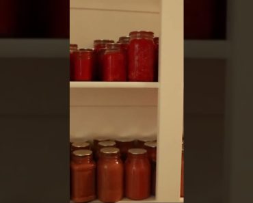 Top 10 Tips for Setting Up Your Prepper Pantry: A