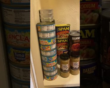 Beginner prepper pantry