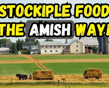 Prepping the Amish Way: Amish Strategies for a Complete Prepper